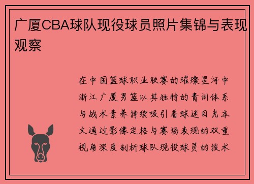 广厦CBA球队现役球员照片集锦与表现观察